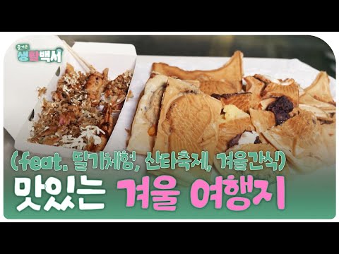 [즐거운생활백서]  맛있는 겨울 여행지 (feat. 딸기체험, 산타축제, 겨울간식)