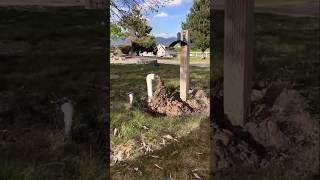 Download Lagu Pulled a chaotic prank—worth every second of planning 🤪 #viral #Prank #fyp #funnyvideos #Funny MP3