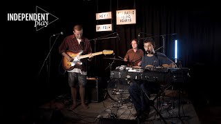 Independent Play 12: e4444e with 'Wolves'