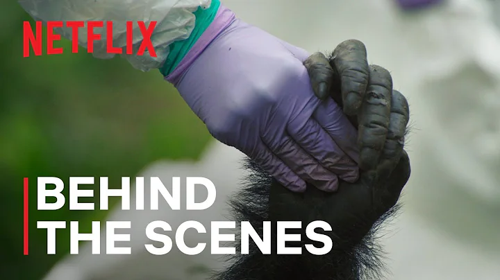 The Death of Pork Pie | Chimp Empire | Netflix