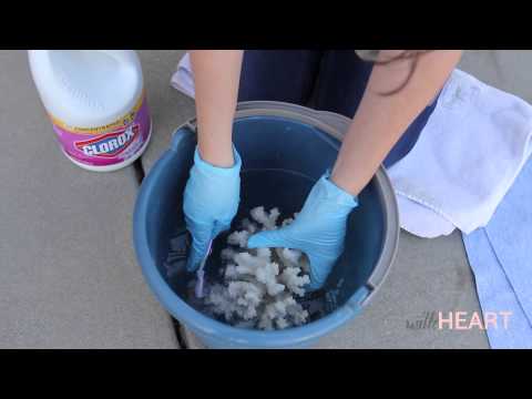 How to Clean Coral | withHEART