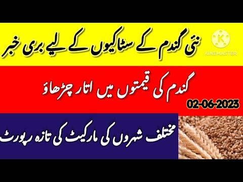 Today Wheat Rates in Pakistan | Gandum Rate Punjab | AR Consultancy # ...