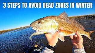 3 Steps To STOP Fishing Dead Zones In The Winter screenshot 1