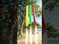 #balloon #poppballons #funny #ballongame #funnyvideos #funnyclips #rocketballoons