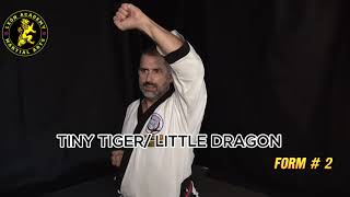 Tiny Tiger Little Dragon Form #2