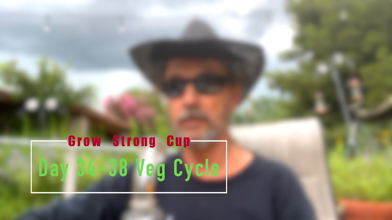 Grow Strong Cup - Veg Day 34-38 plus SCROG install!