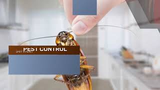 Pest Control McDonough GA - 770-560-4563