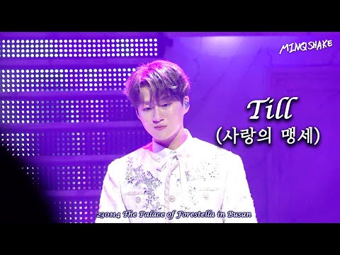 230114 사랑의 맹세 / The Palace of Forestella in Busan /조민규focus