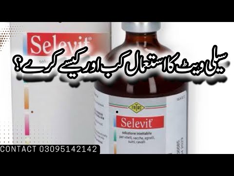 سیلی ویٹ کا استعمال کب اور کیسے کرے ؟When and how to use Celivit