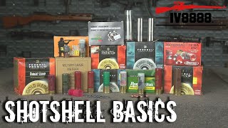 Ammo For Beginners: Shotshell Basics