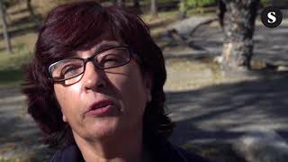 Colectivos por la memoria en el Valle de Cuelgamuros
