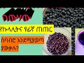 ጥቁርሽንብራና የጥቁርሽንብራውሃ የኩላሊትና የፊኛ ጠጠር ሰባብሮ ያወጣል ሞክሩት