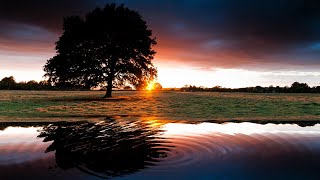 How to Create Water Reflection on Photoshop | Shadow on Water | Photoshop Effect screenshot 4
