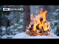 4K Silent Winter Campfire Deep In A Forest Soothing Sounds 4K Silent Winter Campfire Deep In A Forest Soothing Sounds