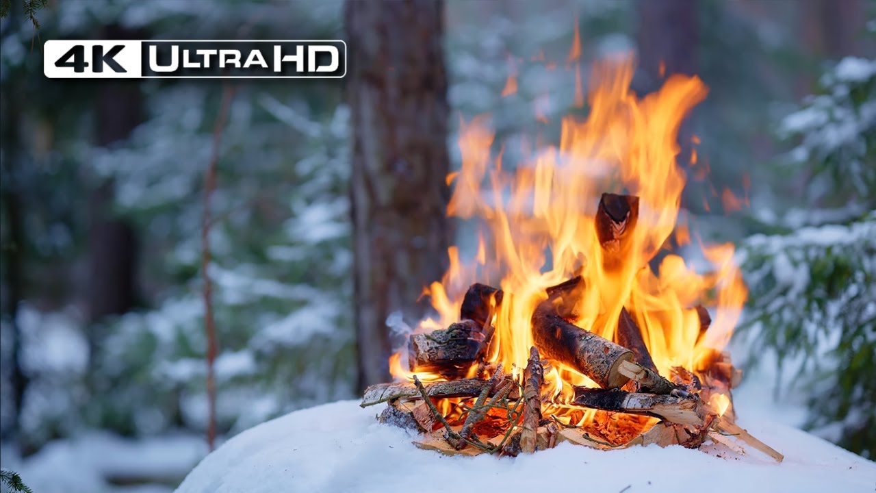 4K 📺 Тихий зимний костер в глубине леса 🌲 Успокаивающие звуки