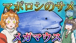 【ゆっくり解説】幻のサメメガマウスの謎多き伝説について【へんないきもの#51】