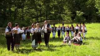 Laura Olteanu - Doi cumătri am deodată