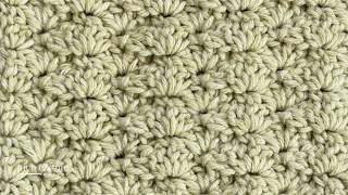 Closed Shell Stitch | How to Crochet