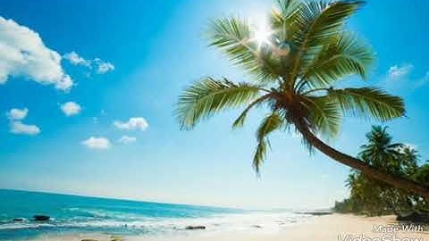 سورة نوح بصوت القارئ محمد عبد الحكيم هائل