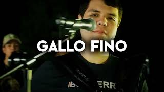 Herencia De Grandes, Los Farmerz - Gallo Fino (Corridos 2024)