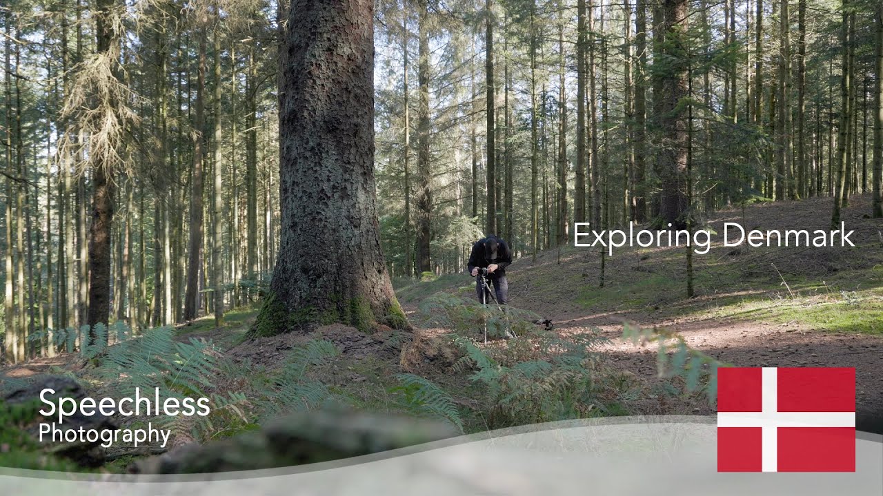 Exploring Denmark | Silent Vlog | Speechless Photography | Landscape Photography