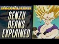 Senzu Beans Explained - Dragon Ball In Depth