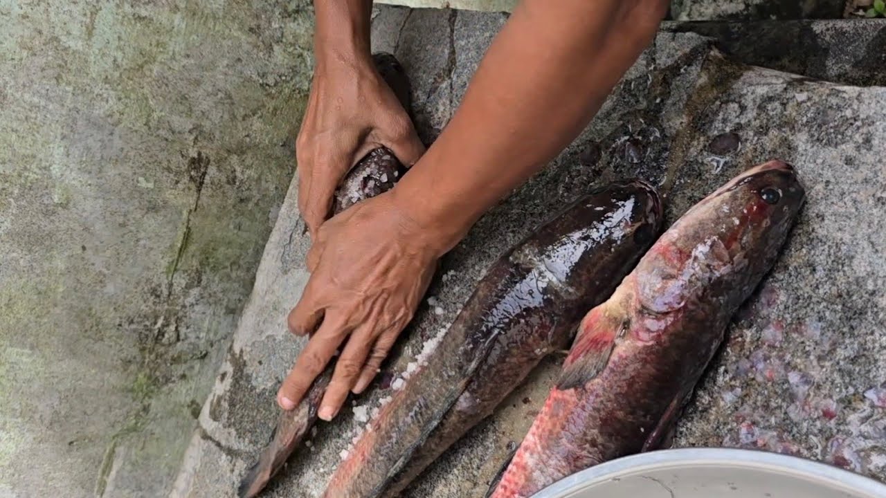 എളുപ്പത്തിൽ വരാൽ മീൻ ക്ലീൻ ചെയ്യാം | Varal Fish Cleaning Tips in Malayalam