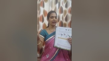 Class 3 Lesson 9 (BIRDS)