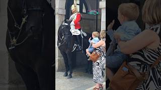 KING'S HORSE And LITTLE BOY INTERACTION#tourist #horseguards #kingsguard #shortfeed #subscribe#funny