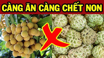 Tác Hại Của 8 Loại Hoa Quả Càng Ăn Càng Tổn Thọ Tuyệt Đối TRÁNH Ăn Nhiều Kẻo Rước Họa Vào Thân
