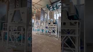 Tohum Eleme Tesisi - Seed Processing Factory #tohumişleme  #seed  #machine  #tohum  #paddy