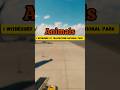 Cute fellows #ytshorts #trending #being  #yellowstone #nature #viral