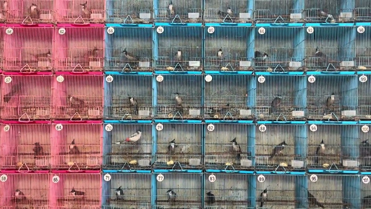 Chủ Nhật 1/2/2026❤️0903.743.166❤️400/17 đường HT 17 phường hiệp thành quận 12❤️