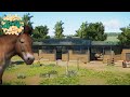 Przewalski&#39;s Horse Habitat | Planet Zoo Speed Build | Eastwood Zoo EP3