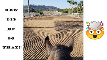 HOW TO DRAG PATTERNS IN YOUR RIDING ARENA - Make your arena the envy of the "neigh"-borhood!