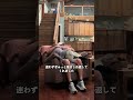 35 歳息子の行動に父が… 予想外の反応が泣ける