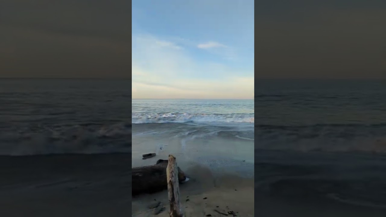 Sunrise over Seacliff Beach #shorts #seacliff #california #sunrise #montereybay