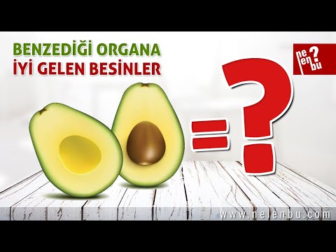 Benzediği Organa İyi Gelen Besinler Nelerdir?