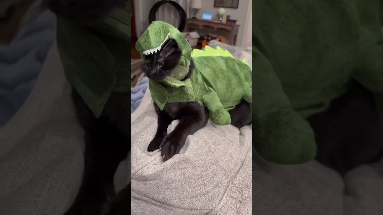 @littlevoidlings: Мне нужно спать с одним открытым глазом😂😂 