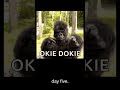 Can My Beat Get 100 Likes?? Day 5 Challenge