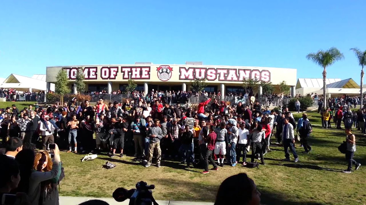 Harlem Shake Rancho Verde High School Edition YouTube harlem-shake-rancho-verde-high-school-edition-youtube