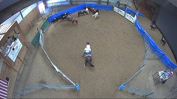 Big Sky Ranch Sorting Saddle Series #5 - #8 RANCH HAND (2 CAP SORTER) - Round #2 - Ride #13