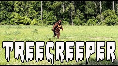 Stillfire Bellows- "Treecreeper" official music video