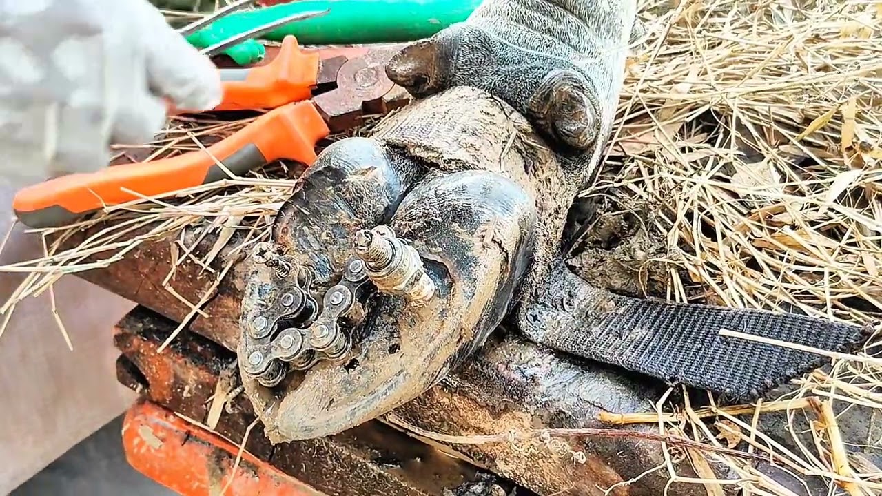 Trim and Cleaning - Screw with Nails WAS STUCK IN cow's hoof2562