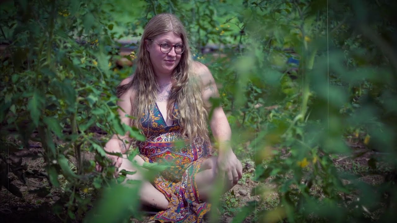 Guarda Rock Bottom String Band - Tend (Official Music Video) su YouTube Guarda Rock Bottom String Band - Tend (Official Music Video) su YouTube