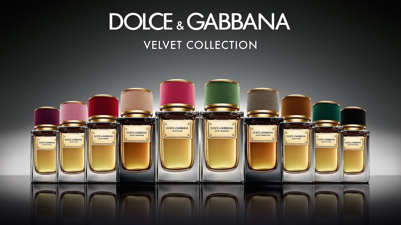 dolce and gabbana velvet collection