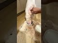 指噛みちぎられたら責任とってください