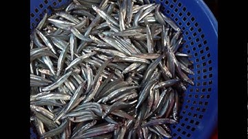 Mắm cá cơm Dì Cẩn giá 45.000đ/hũ