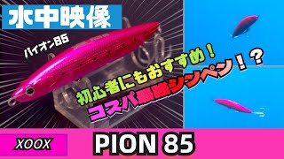 水中映像】激安！おすすめ！コスパ最強シンペン？パイオン85