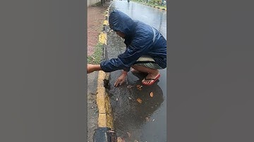 Remove Leave Clog Drain #unclog #clean #culvert #shorts